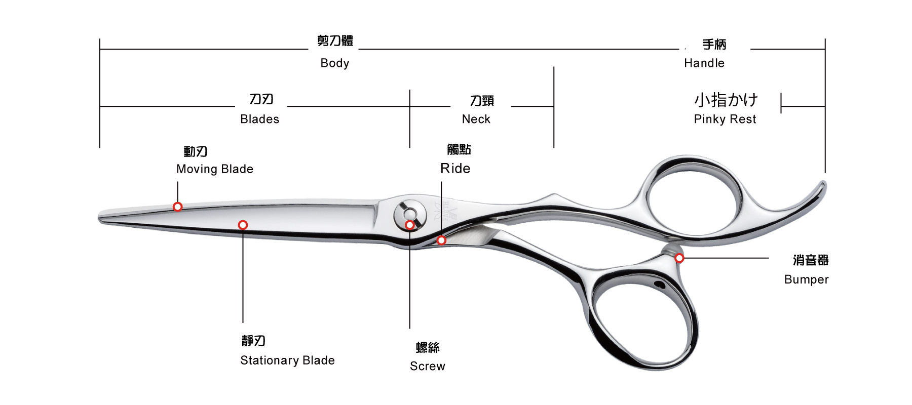 美髮剪刀結構圖示